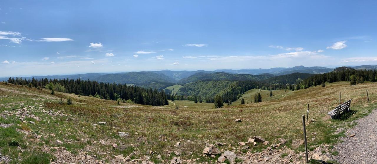 Feldberg Lounge - Residenz Grafenmatt Apartman Kültér fotó